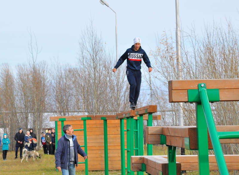 Спорт и физкультура в школе.