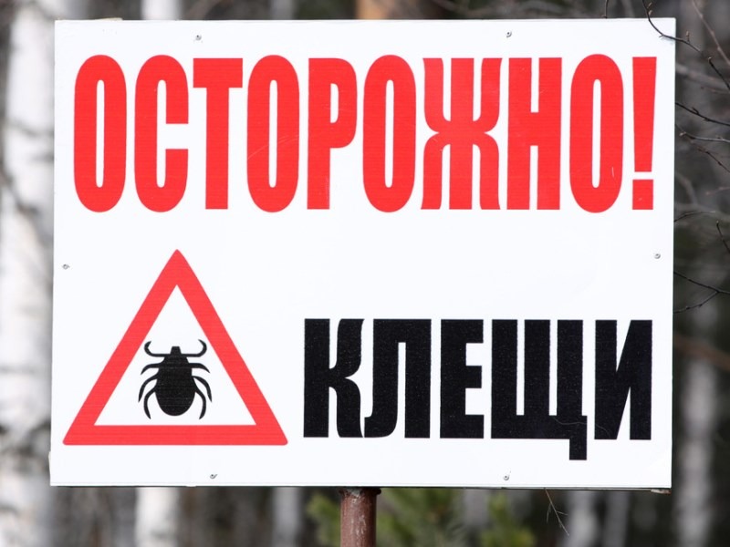 Осторожно, клещи!.