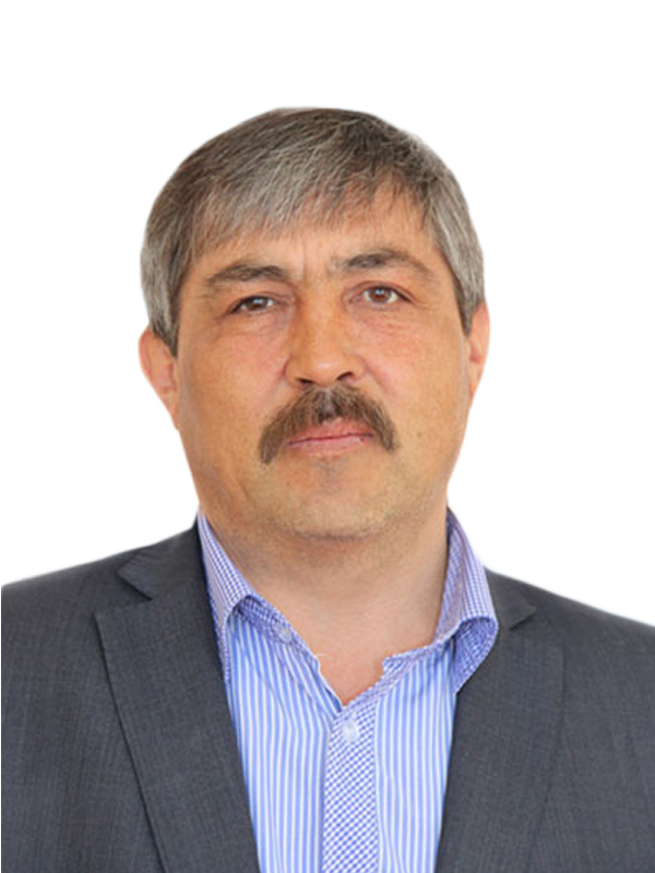 Аев Сергей Ильич.